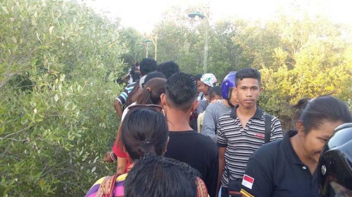 Kawasan Hutan Manggrove Rero Roja 'Diserang' Massa