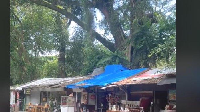 Video Viral TikTok, Mampir Makan di Taman Cibeunying Utara Kota Bandung Yuk