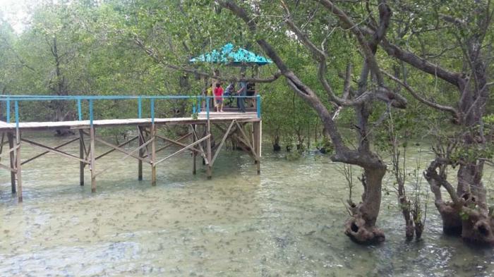 Perlu Tambah Lopo di Hutan Mangrove