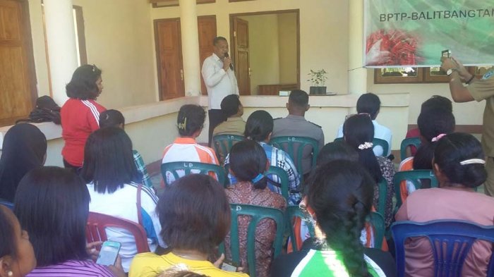 Eman Kara Buka Gerakan Tanam Cabe di Demonpagong Flotim