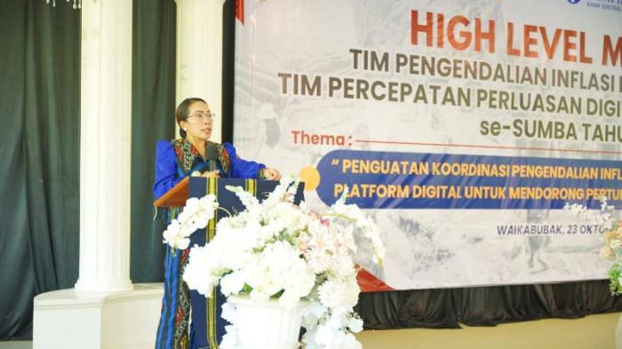 Bupati Ratu Wulla Berencana Buka Rute Penerbangan Tambolaka-Labuan Bajo