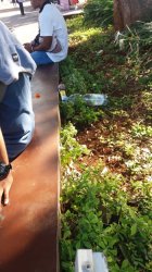 Sampah Plastik Berserakan Di Taman Bandara Eltari Kupang