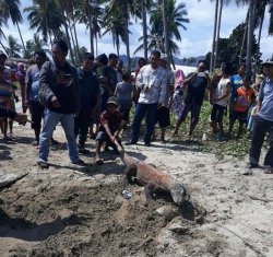 Waspada! Warga Temukan Komodo di Bari Kecamatan Macang Pacar