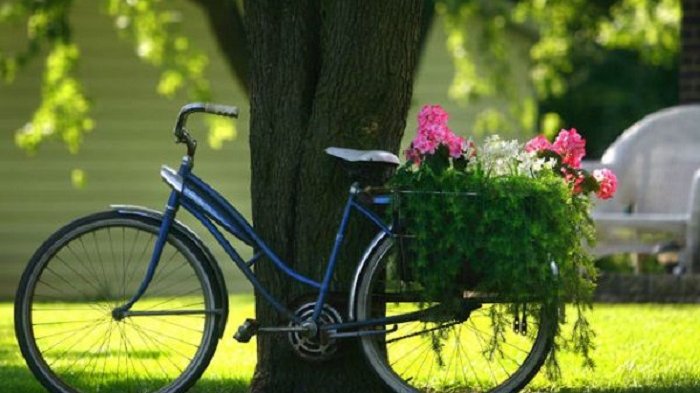 Lebih Perhatian dengan Sepeda Daripada Sang Istri, Pria Ini Digugat Cerai