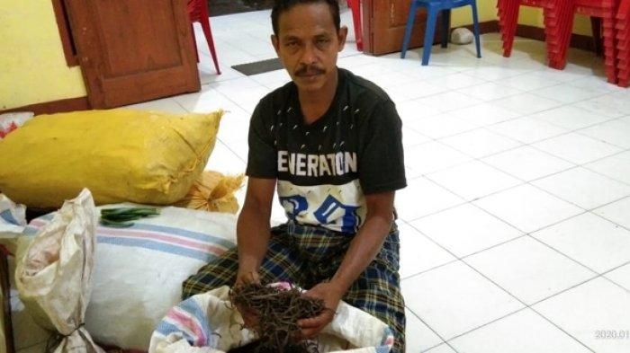 Marianus Gaharpung: Cacat Hukum Instruksi Bupati Sikka Jual Beli Vanili