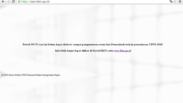 Pendaftaran CPNS 2018 Belum Dibuka, BKN Ingatkan Pantau Link Berikut