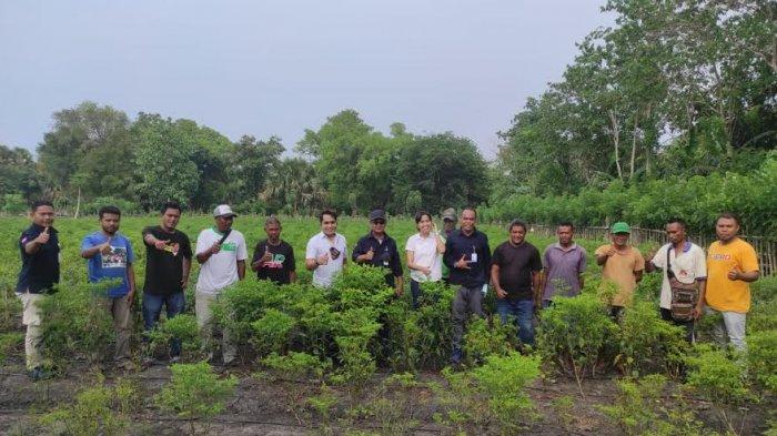 Produk Daerah Nagekeo Koyo Toto Go Publik, Harus Dikembangkan Secara Produktif dan Berkelanjutan