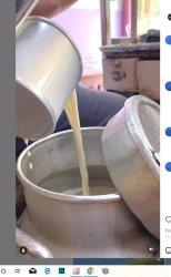 Berita Viral Minum Susu Murni atau Susu Asli Bikin Sehat  Ini Lokasinya di Bandung