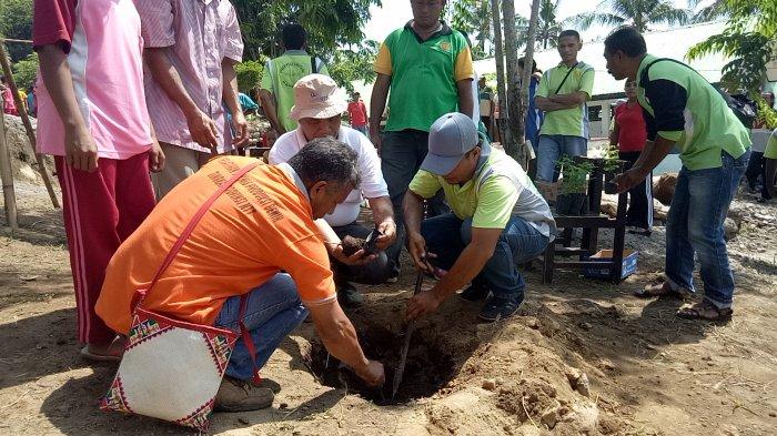 2.500 Anakan Kelor Tanam di Wilayah Kecamatan Nangaroro