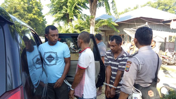 Mantap! Polisi dari Polsek Aesesa Tangkap Pencuri Babi di Nagekeo, Satu Orang Masih DPO