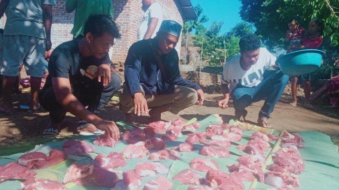 Toleransi di Masjid Al-Hidayah Nisa Nulan Adonara, Hewan Kurban untuk Umat Nasrani