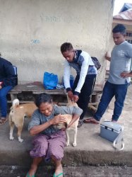 Petugas Dinas Peternakan Ngada Turun Lapangan Berikan Vaksin Anti Rabies untuk Hewan