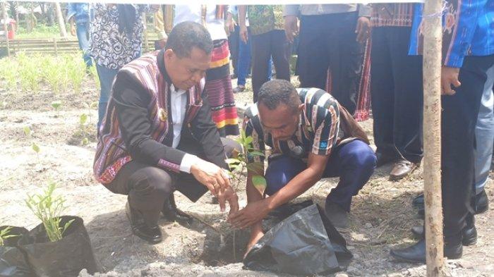 Penjabat Bupati Alor Launching Gerakan Pengembangan Pekarangan untuk Atasi Stunting