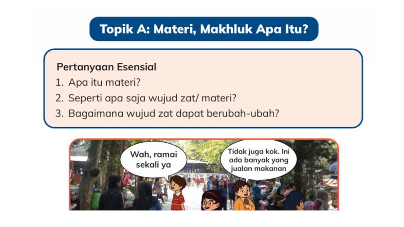 Tribun