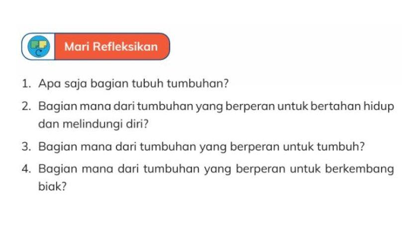 Kunci Jawaban IPAS Kelas 4 Halaman 5 Kurikulum Merdeka: Apa Saja Bagian Tubuh Tumbuhan?