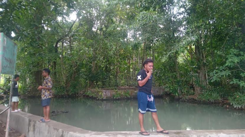 Tribun