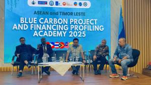 ASEAN-Timor-Leste-Blue-Carbon-and-Financing-Profiling-2025.jpg