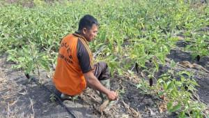 Aipda-Jibrael-Tadinya-Ditertawakan-Kini-Berhasil-Menyulap-Lahan-Tandus-jadi-Sumber-Kehidupan.jpg