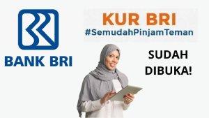 Anda-ingin-mendapat-pinjaman-dana-tambah-modal-usaha.jpg