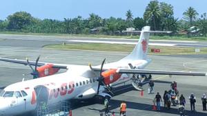 Bandara-Ende.jpg