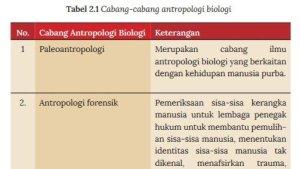 Berikut-kunci-jawaban-Antropologi-kelas-11-halaman-98-dan-99.jpg