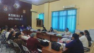 DPRD-NTT-RDP-dengan-Dinkes-NTT.jpg
