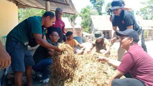 FPKP-Undana-Latih-Peternak-Rote-Ndao-Olah-Limbah-Pertanian-Jadi-Pakan-Ternak.jpg