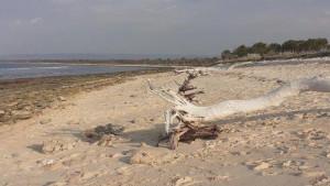 Foto-pesisir-pantai-wisata-Mananga-Aba-Kecamatan-Loura-SBD.jpg