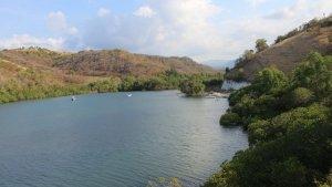 Hamparan-hijau-pohon-bakau-berjejer-di-pinggir-Teluk-Nanga-Lok.jpg