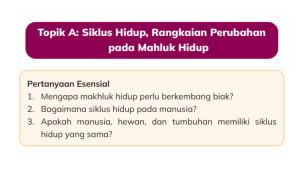 IPAS-Kelas-3-Halaman-28-yy.jpg