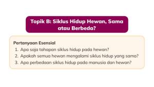 IPAS-Kelas-3-Halaman-37-yui.jpg