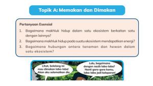 IPAS-Kelas-5-Halaman-42-jkl.jpg