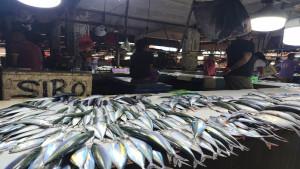 Ikan-di-Pasar-Naikoten-Kupang-Setelah-sempat-melambung-hingga.jpg