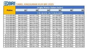 Info-KUR-BRI-2025-Pinjam-Rp-50-Juta-Rp-100-Juta.jpg