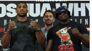 Jadwal-Tinju-Dunia-Agustus-2023-Ada-Anthony-Joshua-Jake-Paul-Oleksandr-Usyk-Jared-Anderson.jpg