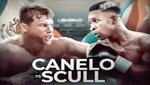 Jadwal-Tinju-Dunia-IBF-Setuju-Lelang-Pertarungan-Canelo-Alvarez-vs-William-Scull-Ditunda.jpg