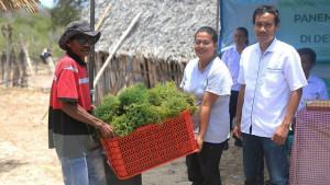 Konservasi-Indonesia-bersama-mitra-lokal-mengembangkan-usaha-pembibitan-rumput-laut.jpg