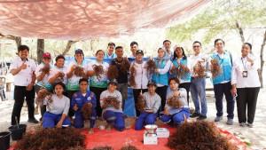 PLN-UIP-Nusra-dukung-Budidaya-rumput-laut-di-Lifuleo.jpg