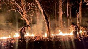 Personel-Polsek-Rote-Tengah-berusaha-memadamkan-api-di-kawasan-hutan-jati-lingkungan-Onatali.jpg