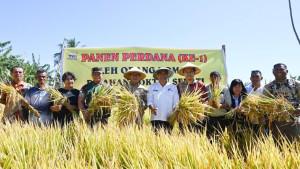 Perwakilan-BI-NTT-Reyza-Lisembina-Budiarjo-pada-Panen-Raya-Di-Desa-Mata-Air-Sabtu-2092025.jpg