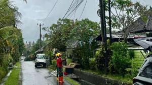 Petugas-PLN-sedang-melakukan-perbaikan-konduktor-jaringan-listrik.jpg