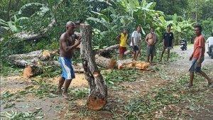 Pohon-Tumbang-di-Jalan-Trans-Flores-Warga-Wairterang-Sikka-Bersihkan-Material.jpg