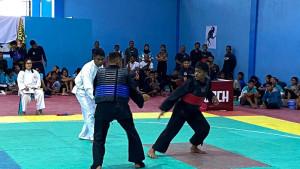Suasana-pertandingan-babak-penyisihan-pencak-silat.jpg