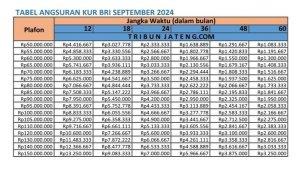 Tabel-Angsuran-KUR-BRI-2024-Bulan-September-Mulai-Rp-50-Juta-Rp-150-Juta-Cek-Syarat-dan-Janisnya.jpg