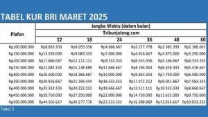 Tabel-Angsuran-KUR-BRI-Maret-2025-Pinjaman-Rp-100-Juta-Rp-500-Juta-Cek-Cicilan-dan-Syaratnya.jpg