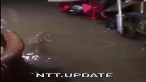 Viral-NTT-hari-ini-Kamis-30-jan-25-2.jpg