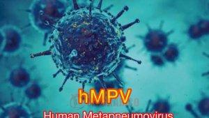 Virus-HMPV.jpg