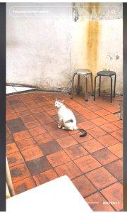 cihapit-SARAPAN-CIHA.jpg