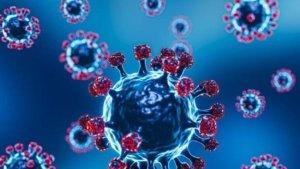 contoh-virus.jpg