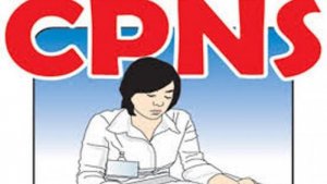ilustrasi-cpns_20180725_092052.jpg